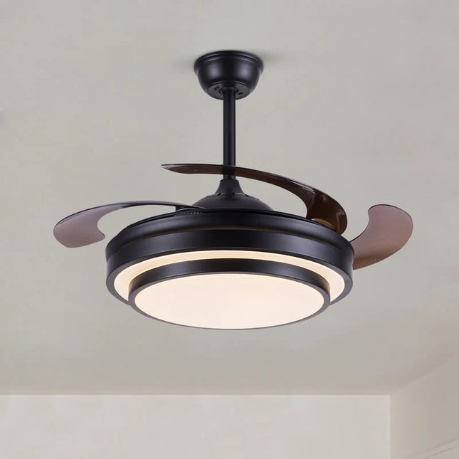 Modern Black Ceiling Fan With Light